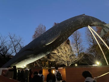 国立科学博物館に投稿された画像（2023/12/24）