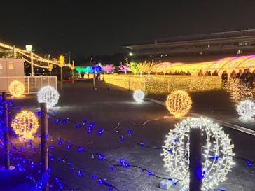 東京メガイルミに投稿された画像（2023/12/24）