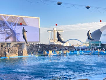 名古屋港水族館に投稿された画像（2023/12/24）