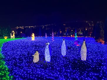 東武動物公園に投稿された画像（2023/12/24）