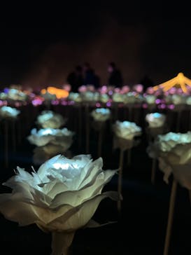 東京メガイルミに投稿された画像（2023/12/24）