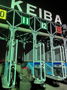 東京メガイルミに投稿された画像（2023/12/24）