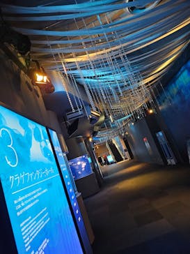 新江ノ島水族館に投稿された画像（2023/12/24）