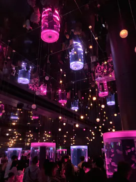 マクセル アクアパーク品川に投稿された画像（2023/12/24）