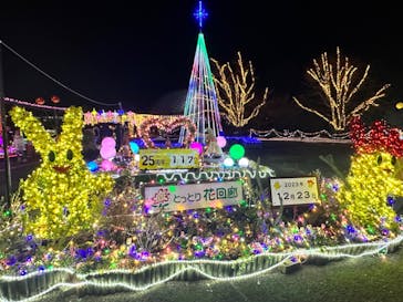 とっとり花回廊に投稿された画像（2023/12/24）