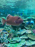 名古屋港水族館に投稿された画像（2023/12/24）