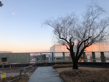 豊田市美術館に投稿された画像（2023/12/24）