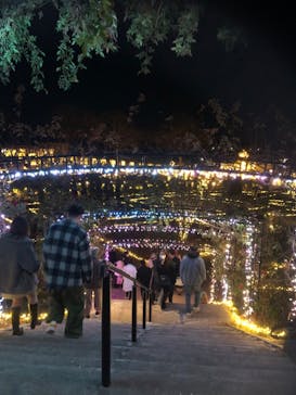 いばらきフラワーパークに投稿された画像（2023/12/24）