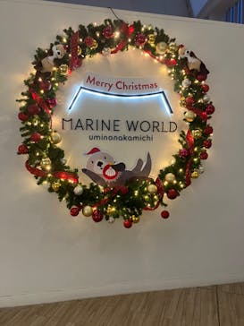 マリンワールド海の中道に投稿された画像（2023/12/24）