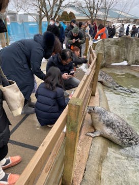 那須どうぶつ王国に投稿された画像（2023/12/24）