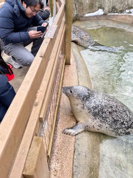 那須どうぶつ王国に投稿された画像（2023/12/24）