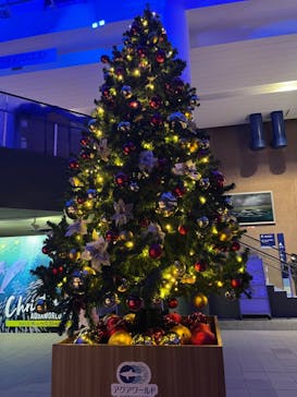 アクアワールド茨城県大洗水族館に投稿された画像（2023/12/24）