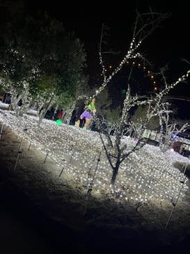 みろくの里に投稿された画像（2023/12/24）