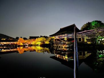 NAKEDヨルマイリ 2025-26 平安神宮に投稿された画像（2023/12/24）