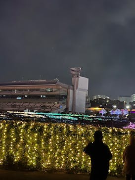 東京メガイルミに投稿された画像（2023/12/24）