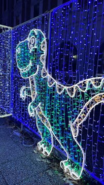 神戸イルミナージュに投稿された画像（2023/12/24）