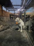 東武動物公園に投稿された画像（2023/12/25）