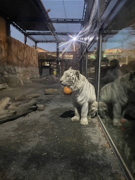 東武動物公園に投稿された画像（2023/12/24）