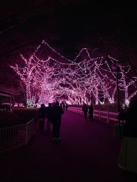 東武動物公園に投稿された画像（2023/12/24）