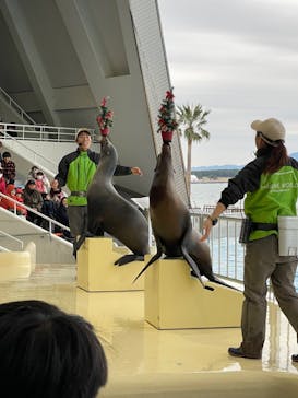 マリンワールド海の中道に投稿された画像（2023/12/24）