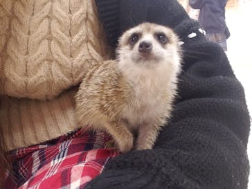 アニタッチ MARK IS 静岡に投稿された画像（2023/12/24）