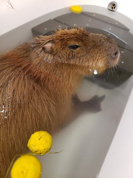 アニタッチ MARK IS 静岡に投稿された画像（2023/12/24）