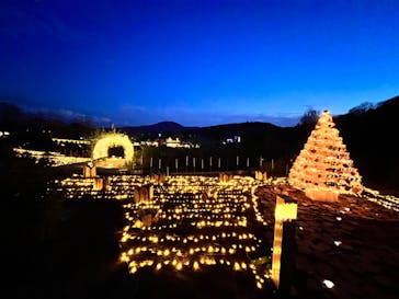 いばらきフラワーパークに投稿された画像（2023/12/24）