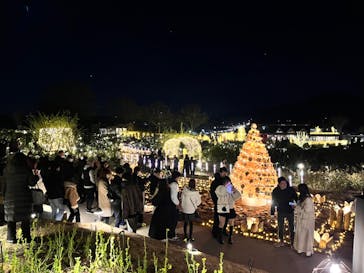 いばらきフラワーパークに投稿された画像（2023/12/24）