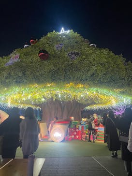 東京メガイルミに投稿された画像（2023/12/24）