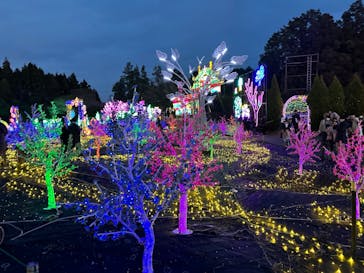 伊豆ぐらんぱる公園に投稿された画像（2023/12/24）