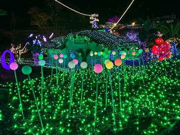 伊豆ぐらんぱる公園に投稿された画像（2023/12/24）