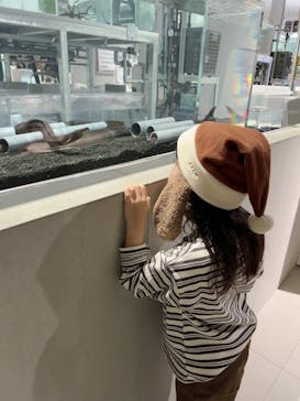 AOAO SAPPOROに投稿された画像（2023/12/24）