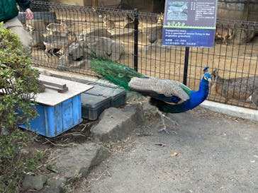 伊豆シャボテン動物公園に投稿された画像（2023/12/24）