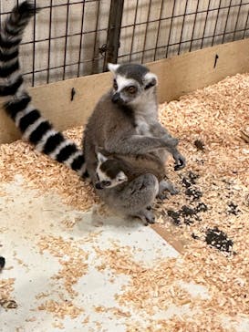 伊豆シャボテン動物公園に投稿された画像（2023/12/24）