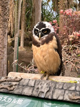 伊豆シャボテン動物公園に投稿された画像（2023/12/24）