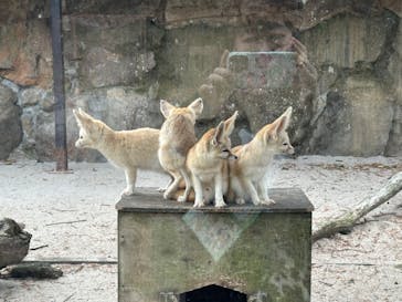 伊豆シャボテン動物公園に投稿された画像（2023/12/24）