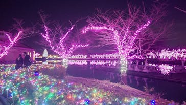 東武動物公園に投稿された画像（2023/12/24）