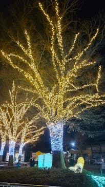 東武動物公園に投稿された画像（2023/12/24）