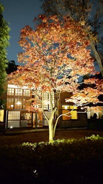 江戸東京たてもの園に投稿された画像（2023/12/24）