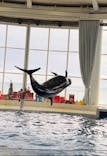 アクアワールド茨城県大洗水族館に投稿された画像（2023/12/25）