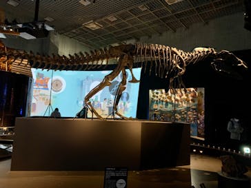 国立科学博物館に投稿された画像（2023/12/24）