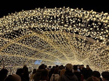 東京メガイルミに投稿された画像（2023/12/24）