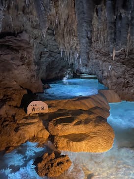 おきなわワールドに投稿された画像（2023/12/24）