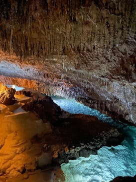 おきなわワールドに投稿された画像（2023/12/24）