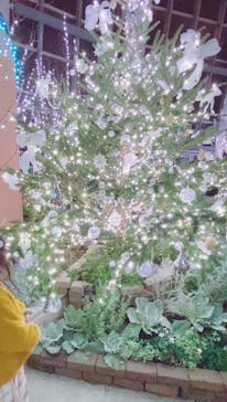 安城産業文化公園デンパークに投稿された画像（2023/12/24）