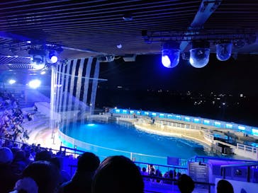 京都鉄道博物館×京都水族館に投稿された画像（2023/12/24）