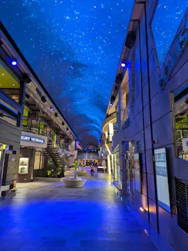 武藤潜水に投稿された画像（2023/12/25）