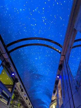 武藤潜水に投稿された画像（2023/12/25）