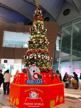 マリンワールド海の中道に投稿された画像（2023/12/25）