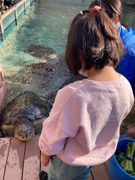 新江ノ島水族館に投稿された画像（2023/12/25）